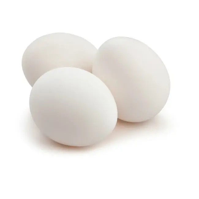 Taze tavuk yumurtası/çiftlik tavuk yumurtası yüksek kaliteli tedarikçiler