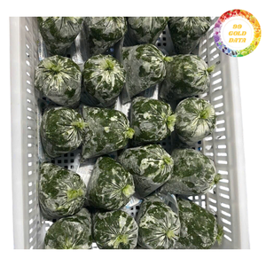 ใบมันสำปะหลังแช่แข็งออร์แกนิคแบบ IQF บรรจุภัณฑ์แบบจำนวนมาก บดละเอียดและพร้อมสำหรับการเตรียมอาหารเพิ่มเติมสำหรับธุรกิจอาหาร - Product Image 5