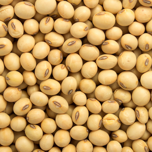 Clean Non-GMO Dried <b>Soybean</b> Seeds High Quality Bulk - Product Image 3