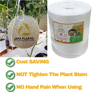 Chất lượng cao Xoắn PP twine mềm mịn thân thiện với môi <span class=keywords><strong>Polypropylene</strong></span> Tie dây cho nhà kính cà chua Ớt dưa chuột trồng - Product Image 4