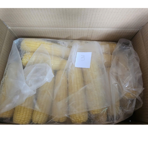 Mazorcas de maíz entero congeladas a la máxima frescura, empaquetadas de forma segura para la exportación, adecuadas para todo tipo de aplicaciones culinarias - Product Image 3