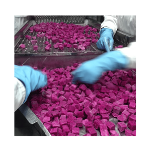 ผลไม้ไพรเมอร์ไรส์แช่แข็งแบบ IQF หั่นเต๋า (สีแดง/ขาว) จำหน่ายจำนวนมากสำหรับการผลิตน้ำผลไม้ แยม ผง และอาหารในเวียดนาม - Product Image 2