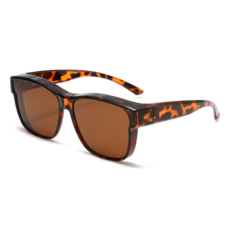 C9 : Tortue / Marron