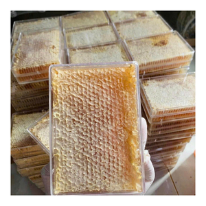 Miel de panal de Vietnam diseñada para mercados internacionales con apariencia consistente y suministro a granel confiable. - Product Image 1