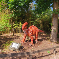 Solutions complètes de développement de parcs à thème sur le thème des dinosaures : Modèles de dinosaures animatroniques, du concept au déploiement mondial