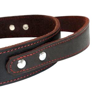 Collier de chien en cuir véritable avec laisse ronde élégante Accessoires de chasse de qualité supérieure - Product Image 5