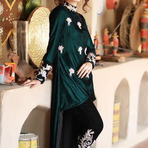 Robe de soirée élégante avec broderie indienne et pakistanaise Décoration en dentelle Back Trail & Pant pour mariage/fête Collection 2023 - Product Image 1