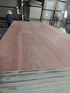 BUEN PRECIO en EMBALAJE CONTRACHAPADO AA AMBOS LADOS BINTANGOR - Product Image 6