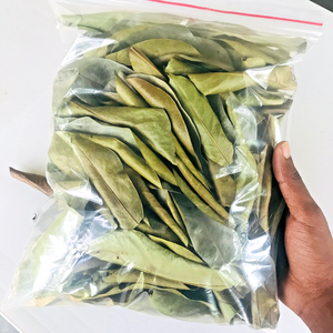 Meilleur choix en 2025 fait à la main 100% naturel biologique séché corossol feuille de thé de haute qualité en gros Agriculture forme directe usine - Product Image 6