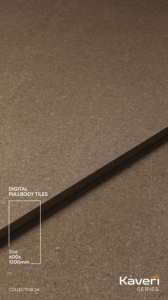 BuilderApproved Rectabricks 2x4 Fullbody Porcelana Cerámica Mosaico Azulejo Brillante Mate para Vestíbulo y paredes de recepción Característica del dormitorio - Product Image 4