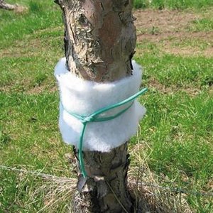 Trampa de Tela para Insectos - 15 cm x 20 m - Product Image 1