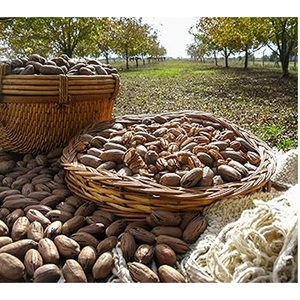 Semi Soft 100% Nueces naturales tostadas saladas de primera calidad con cáscara Nueces de pacana crudas - Product Image 4