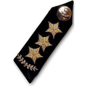 Custom Made Embroidered Bullion Wire Gorget <b>Collar</b> Tabs & Badges Butterfly Clutch-Eco-friendly Custom Color Superior Quality - Product Image 6