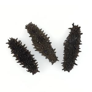 Pepinos de Mar Secos de Primera Calidad, Color Negro Puro con Manchas Blancas, en Paquete a Granel a Precio de Mayoreo Económico - Product Image 4