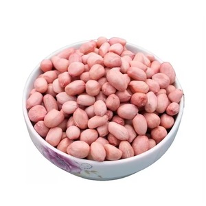 Cacahuetes blanqueados orgánicos de alta proteína recién procesados a granel para pedidos grandes Procesamiento crudo de pureza 100% - Product Image 4