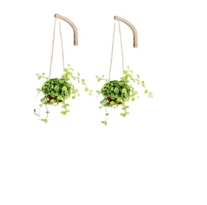 Macrame <b>Wall</b> <b>Hanging</b> Customized Macrame Plant Hanger for <b>Wall</b> and Window Decoration Double Macrame Plant Holder - Product Image 1