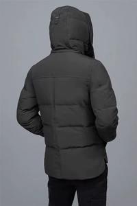 Chaqueta Acolchada de Primera Calidad, Tejido de Alta Calidad, Servicio OEM, Logotipo Bordado, Chaqueta de Invierno, Último Diseño 2025 - Product Image 2