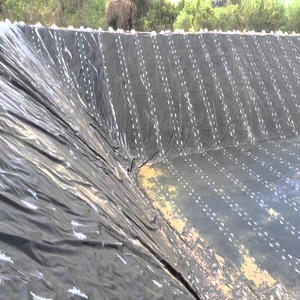 HDPE <span class=keywords><strong>Geomembrane</strong></span> Liner para Pond Building Material Impermeabilização para Piscicultura na Zâmbia - Product Image 3