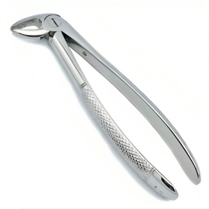 REHMAT NOOR INDUSTRY RN-WTEF-001 Outil d'extraction vétérinaire en acier inoxydable, tête tournée, forceps dentaire pour cheval pour les dents - Product Image 5