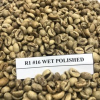 Granos de café verde de Vietnam, granos de café de alta calidad, venta al por mayor, Robusta/Árabe, muestra gratis