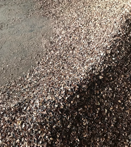 Cáscara de Anacardo Premium para Alimentación Animal e Industria Alimentaria - Product Image 2