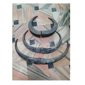 Corne en forme de cercueil naturel, 1 paire de haute qualité, Design ancien, paire de bulbes naturels, 3 paires - Product Image 1