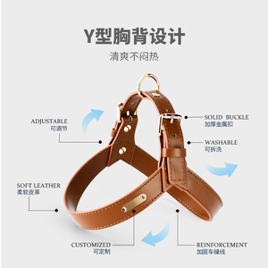 Set Harness dan Tali Kucing untuk Berjalan Anti Lepas, Harness Anak Kucing yang Dapat Disesuaikan dengan Jaring Bernapas dan Strip Reflektif - Product Image 2