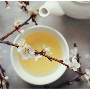 Venta al por mayor de aceite esencial de té blanco de etiqueta privada 100% aceite de té blanco de destilación al vapor orgánico a la venta - Product Image 4