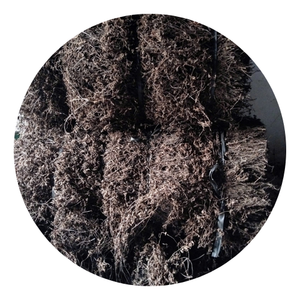 GELÉE D'HERBE NOIRE À VENDRE PRÊT À EXPORTER DU VIETNAM - Product Image 2