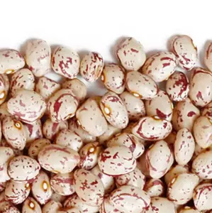 Manufacturer Supplier Thai Cheap Natural White Beans Dried Red Speckled Kidney Beans