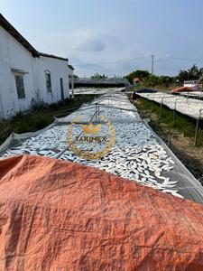 Fábrica Takimex, venta al por mayor, Etiqueta Privada, OEM, ODM, comida para pájaros y loros, golosinas para mascotas, hueso de sepia seco, comida fresca para pájaros - Product Image 3