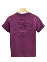 T-shirts pour hommes en coton peigné 100 %, écologiques, respirants, coupe ample, 230 g, couleur personnalisée, col rond, manches courtes, vente en gros