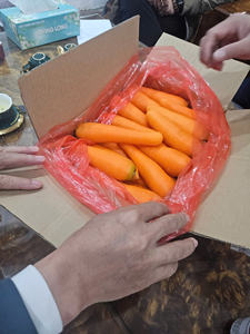 Fournisseur biologique de carottes fraîches sucrées à haute teneur en vitamines du Vietnam pour l'exportation de la transformation des boissons alimentaires - Product Image 3