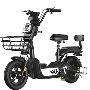 High Quality <strong>Factory</strong> <strong>Directly</strong> Sales Lowest <strong>Price</strong> 2 Seat Electric Bike in Stock Use for Adult China <strong>Supplier</strong> Electric Bike - Product Image 3