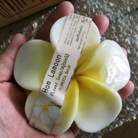 2024 Nouvel An Cadeau Valentine Coffret Cadeau Huile De Noix De Coco Fleur Savon 100g Plumeria Fleur Parfum Produit de Thaïlande