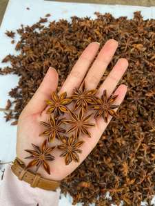 Anís estrellado de alta calidad de Vietnam, la mejor oferta, envío rápido, estilo mezclado procesado seco, precio competitivo - Product Image 5