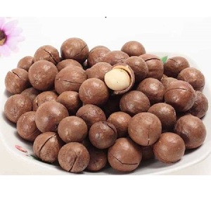 Fresh Macadamia <b>Nuts</b> /Wholesale Macadamia <b>Nuts</b> <b>Kernel</b> / Natural Delicious Raw Macadamia <b>Nuts</b> - Product Image 2