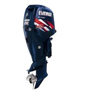 Alta carrera Usado 2007 Evin-Rude 100HP-250Hp E-Tec 2 tiempos fuera de borda Categoría de producto - Product Image 1