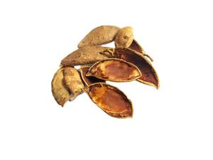 Meilleur prix 100% Lot de 10 dosettes Milletia séchées naturelles et écologiques pour aquarium ou terrarium Produits pour animaux de compagnie - Product Image 3