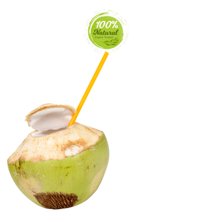 Le goût ultime de la noix de coco fraîche du Vietnam - Product Image 4
