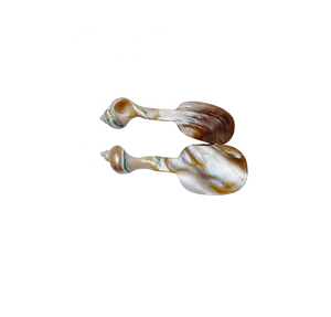 Decorative Pearl-handled Spoon - Elegant Mother of Pearl <b>Utensil</b> - Factory Handicraft Seashell Spoon for <b>Kitchen</b> <b>Utensils</b> Craft - Product Image 5