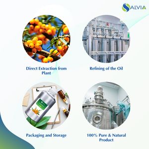 Vente en gros en vrac Huile essentielle d'argousier 100% pure et naturelle Emballage personnalisé à bas prix - Product Image 4