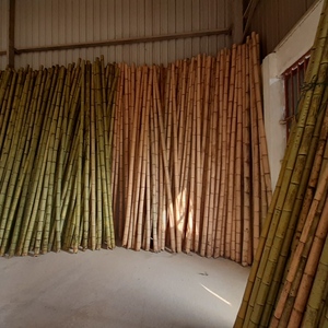 เสาไม้ไผ่ดิบจากเวียดนามที่มีคุณภาพสูง - Product Image 1