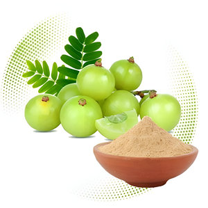 Polvo de grado alimenticio de extracto de Amla orgánico certificado Embalaje de bolsa de ingrediente activo solvente de hesperidina de cítricos a base de hierbas de alta calidad - Product Image 5