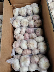 Ajo Blanco Orgánico Puro y Fresco, Paquete de 25 kg de Alemania, con 12 Meses de Duración - Product Image 2