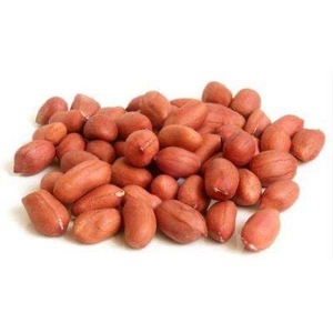 ถั่วลิสงดิบคุณภาพสูง แบบมีเปลือกและไม่มีเปลือก - Product Image 4