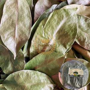 Wholesale Organic Soursop Leaves Annona Muricata Herbal <b>Tea</b> Cut Dried Leaves Graviola OEM Packing <b>Made</b> In Vietnam - Product Image 1