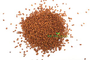 Methi Dana de qualité supérieure du Pakistan Graines de fenugrec pour les acheteurs mondiaux - Product Image 2