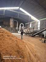 Pelet Biomassa Kayu Lunak Berkualitas Tinggi GREENLIFE ASIA 8mm Bentuk Gumpalan 4800J Kalori 3% Abu 8% Kelembapan 750kg/m3 Kepadatan