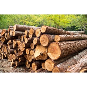 Keruing haut de gamme de fabrication indonésienne/bois de pin marin écologique durable pour les chambres industrielles salles à manger salons 1 an E0 - Product Image 5